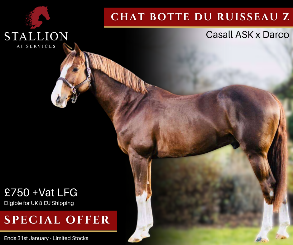 Chat Botte Du Ruisseau Z Stallion